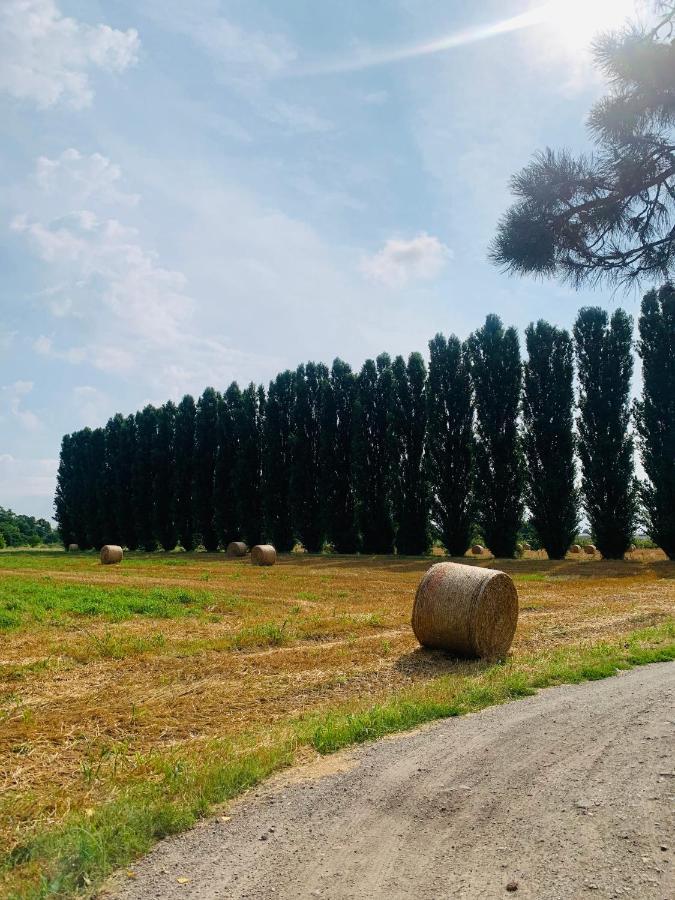 Appartamento Tra Verde E Citta Bologne Extérieur photo